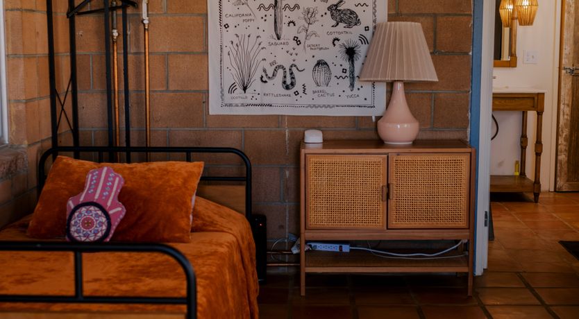 Photo of Cactus Sunshine