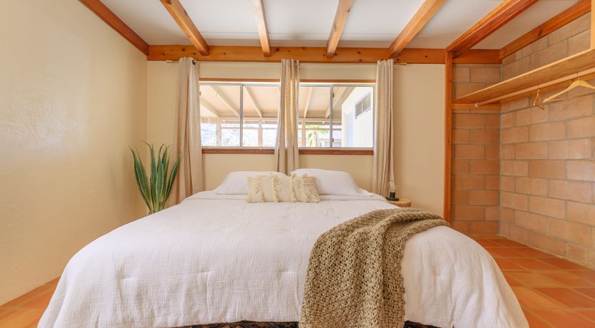 Photo of Cactus Sunshine