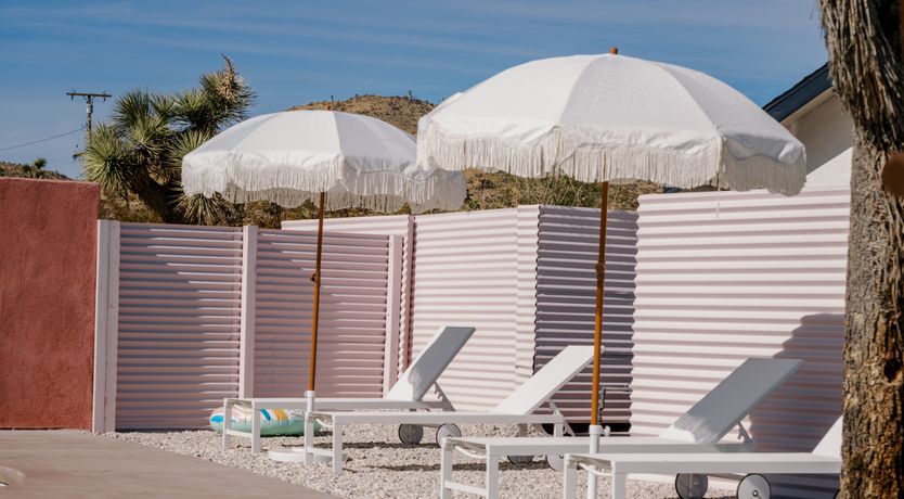 Photo of Cactus Sunshine