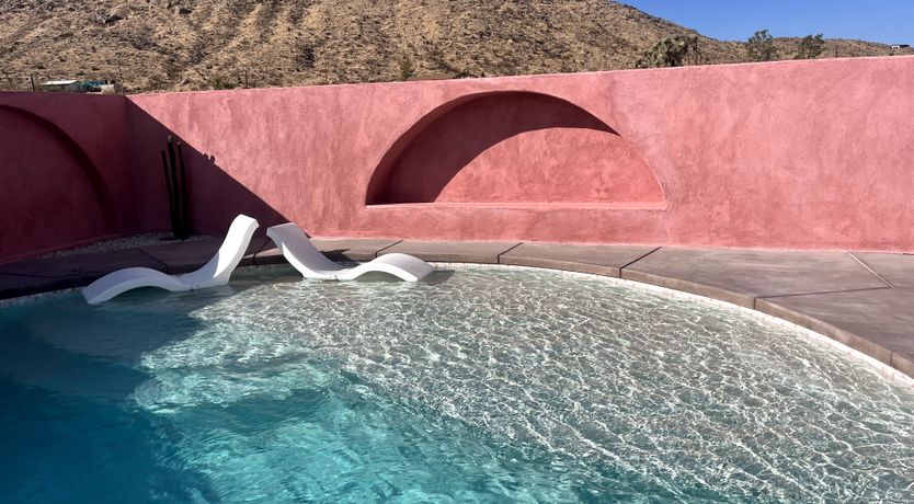 Photo of Cactus Sunshine