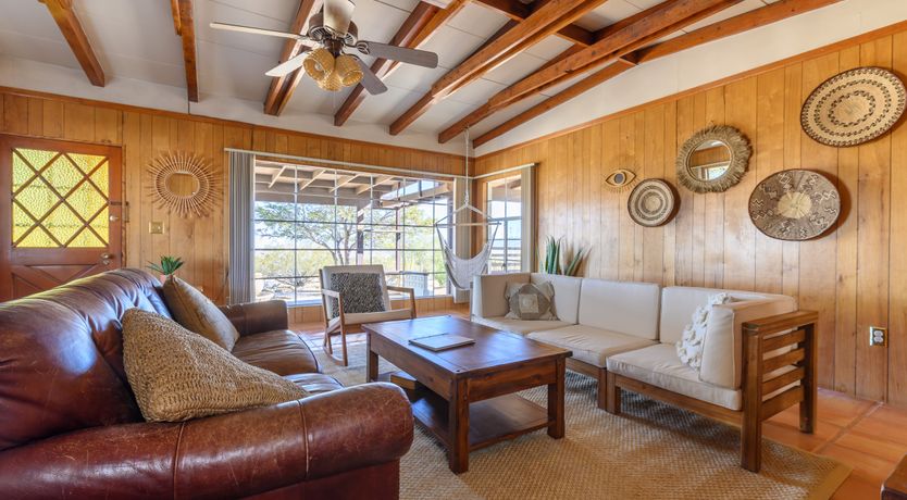 Photo of Cactus Sunshine