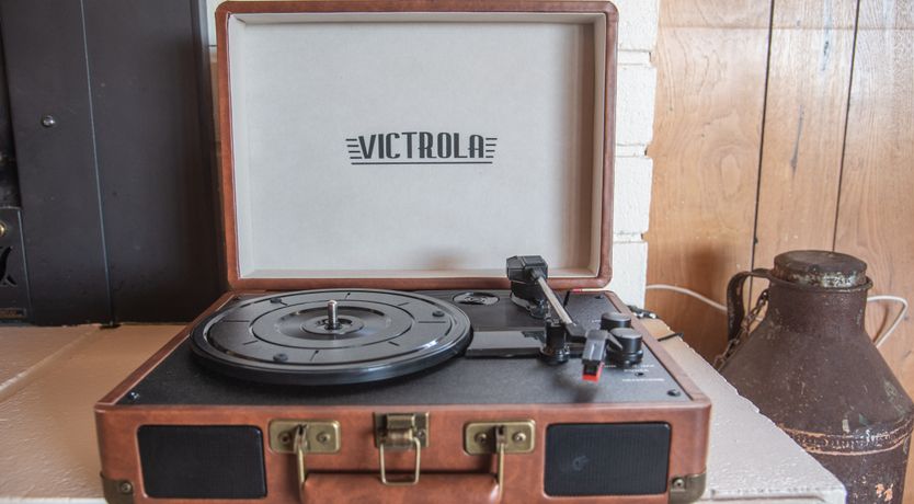 Photo of Cactus Sunshine