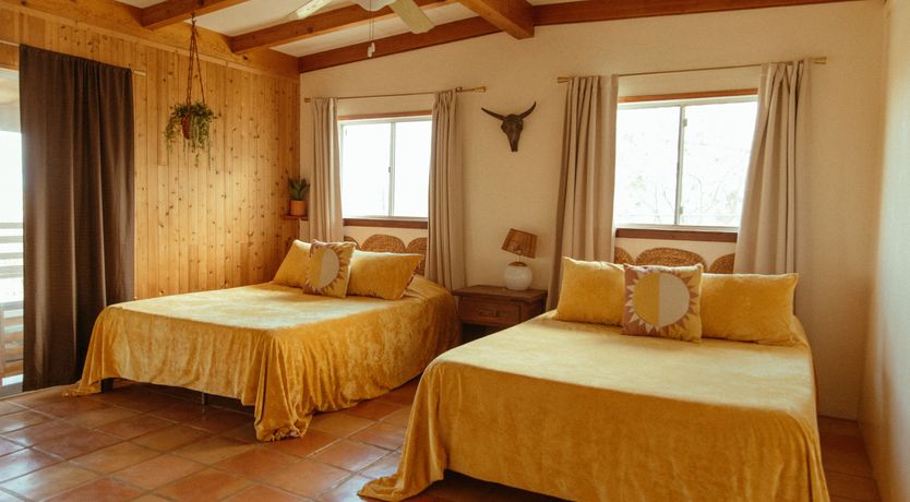 Photo of Cactus Sunshine