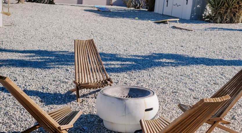 Photo of Cactus Sunshine