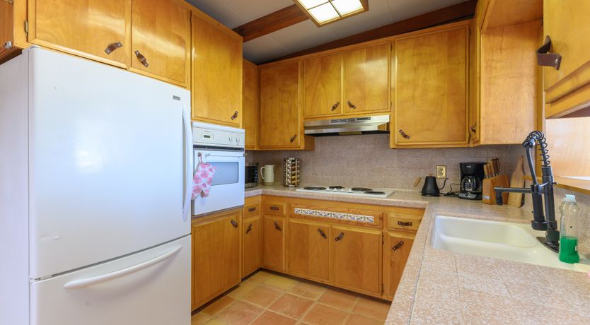 Photo of Cactus Sunshine