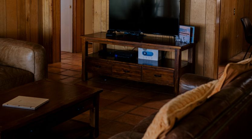 Photo of Cactus Sunshine