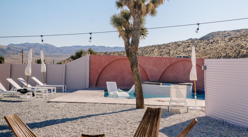 Photo of Cactus Sunshine