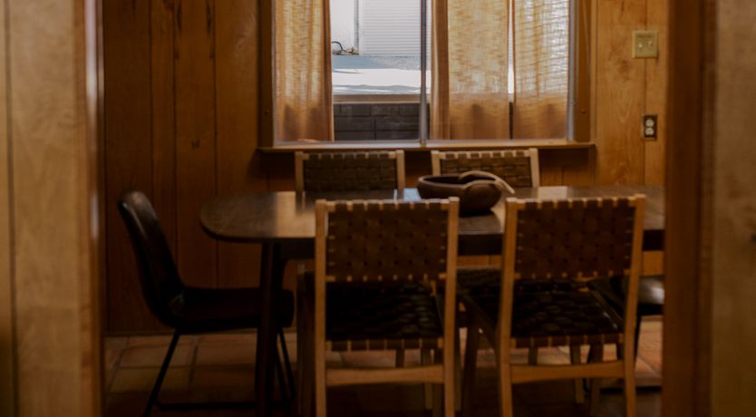 Photo of Cactus Sunshine