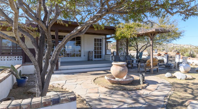 Photo of Cactus Sunshine