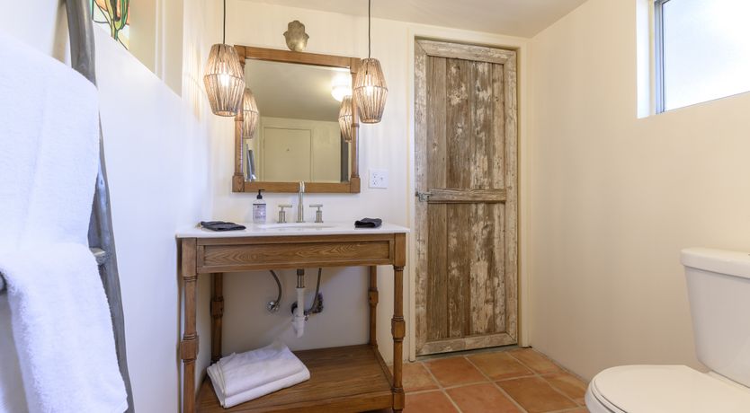 Photo of Cactus Sunshine