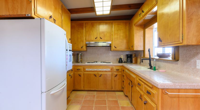 Photo of Cactus Sunshine