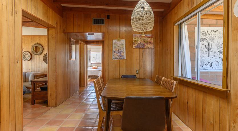 Photo of Cactus Sunshine