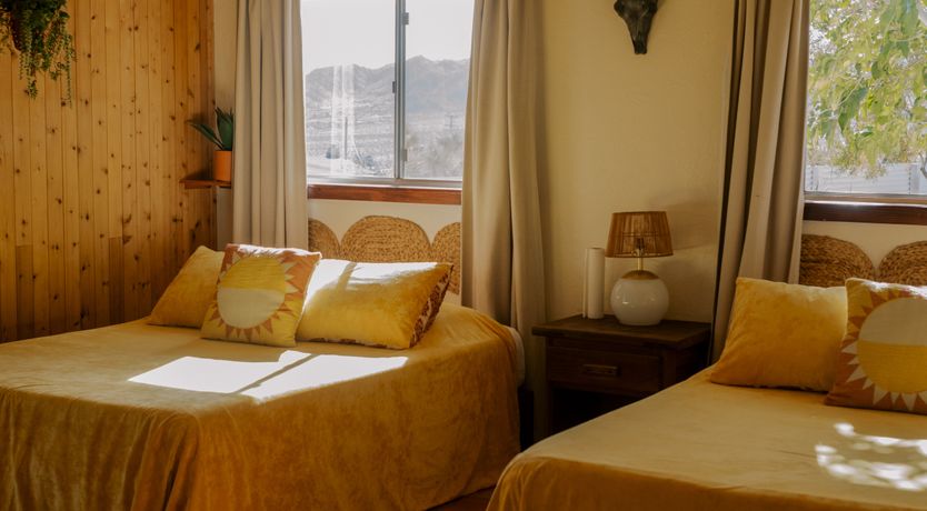 Photo of Cactus Sunshine