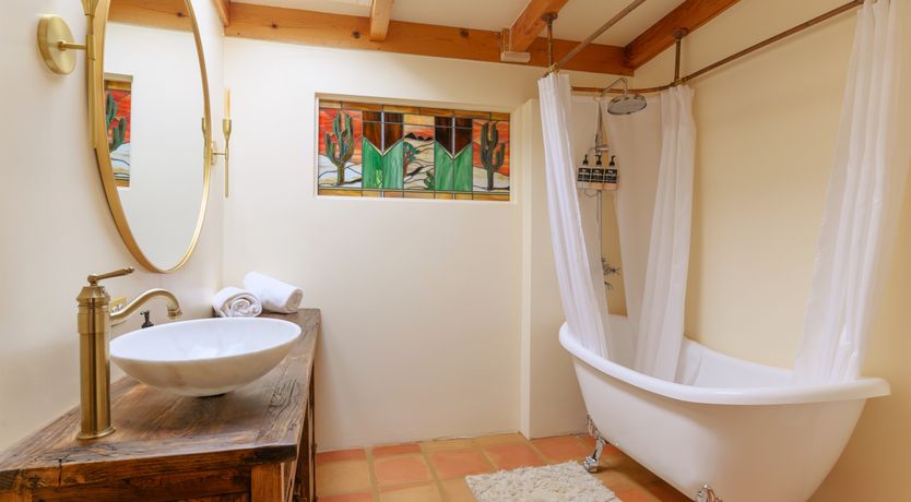 Photo of Cactus Sunshine