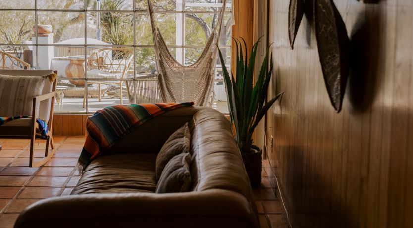 Photo of Cactus Sunshine