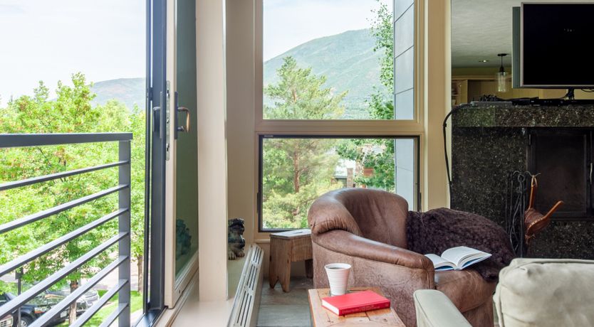 Photo of The Downy Woodpecker