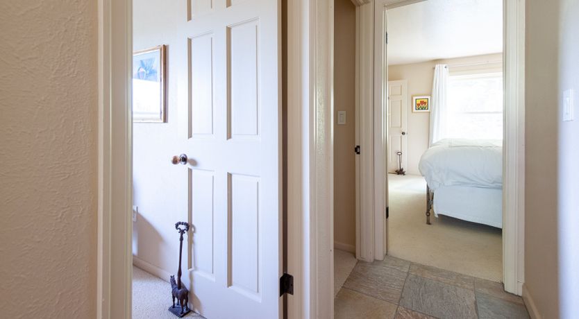 Photo of The Downy Woodpecker