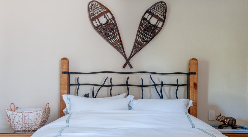 Photo of The Downy Woodpecker