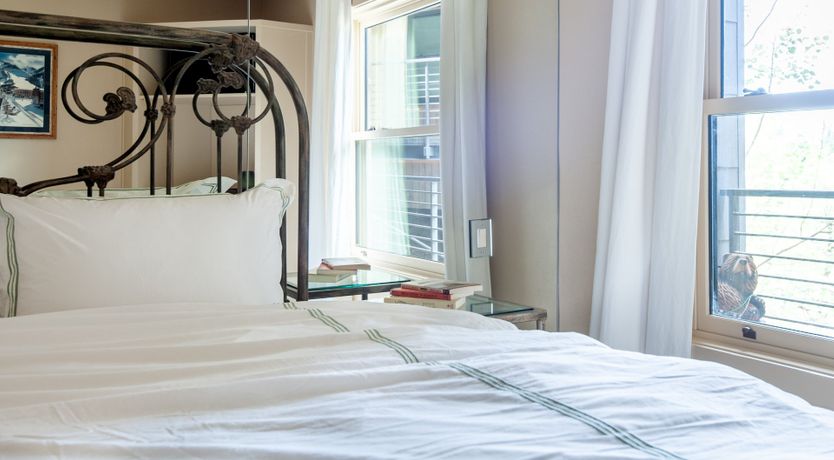 Photo of The Downy Woodpecker