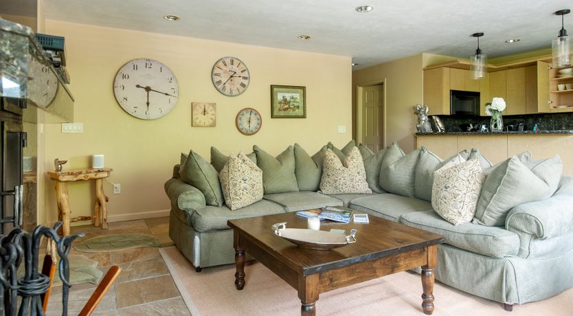 Photo of The Downy Woodpecker