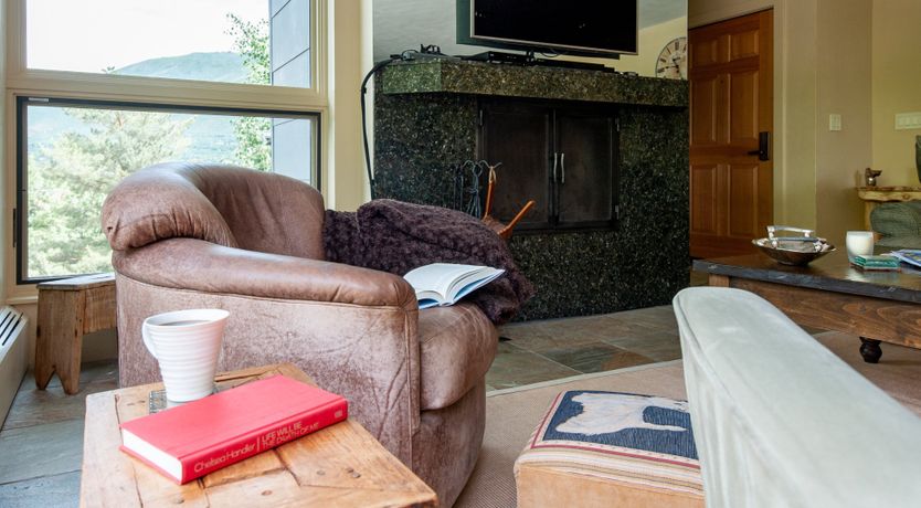 Photo of The Downy Woodpecker