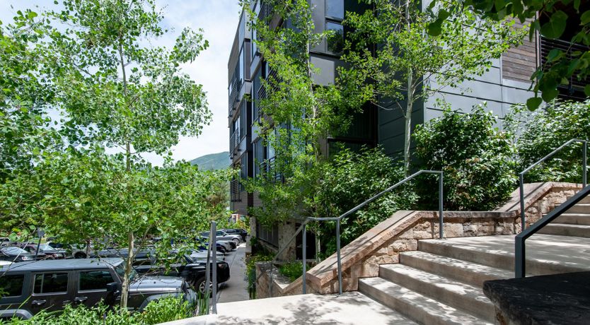 Photo of The Downy Woodpecker