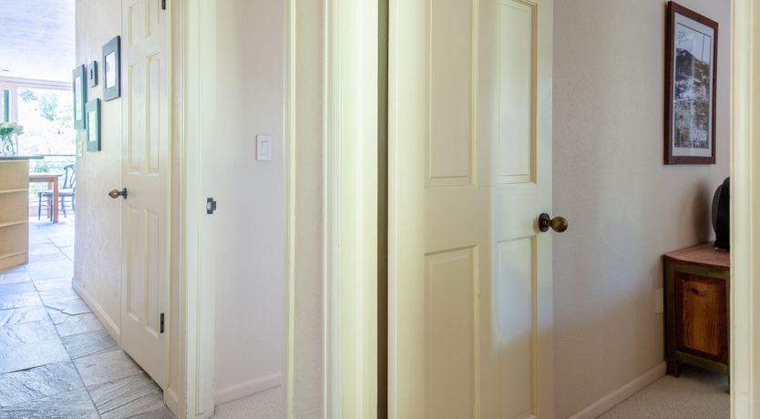 Photo of The Downy Woodpecker