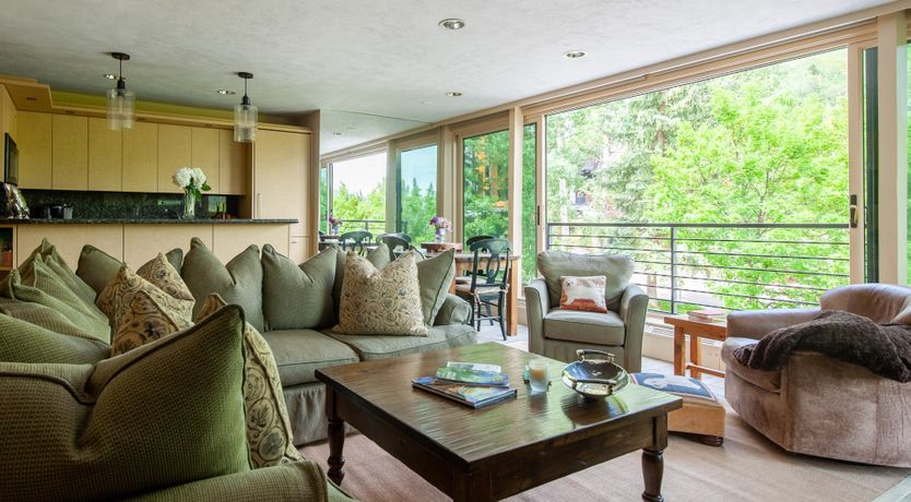 Photo of The Downy Woodpecker