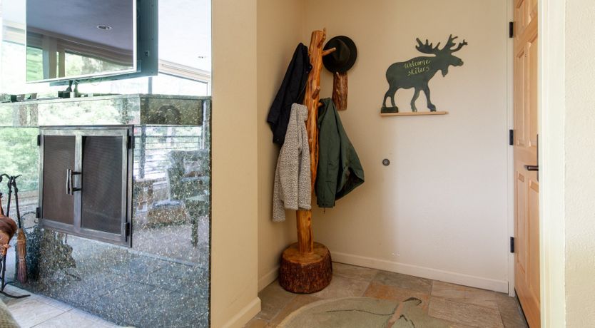 Photo of The Downy Woodpecker