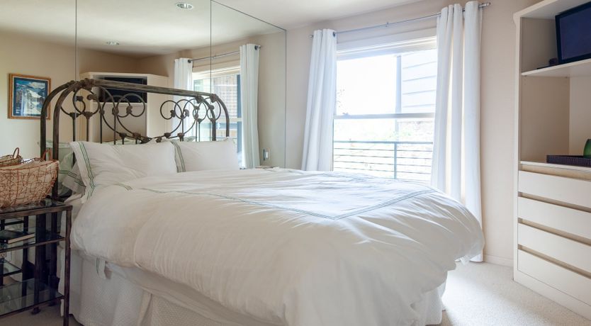 Photo of The Downy Woodpecker