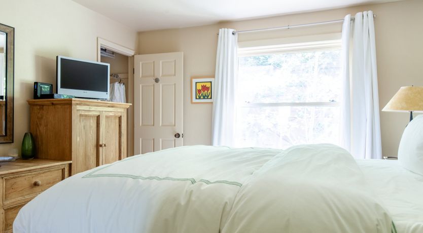 Photo of The Downy Woodpecker