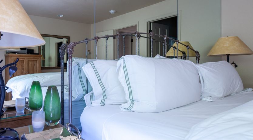 Photo of The Downy Woodpecker