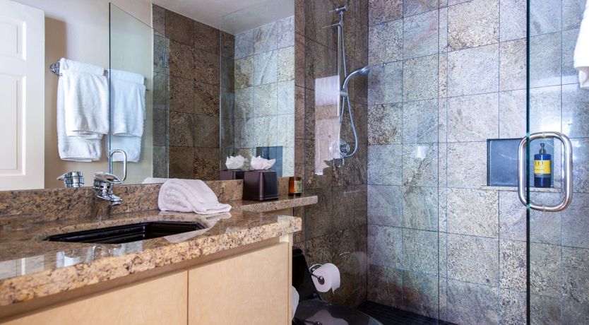 Photo of The Downy Woodpecker