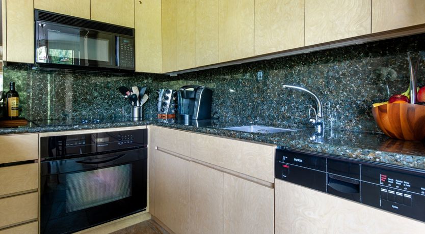 Photo of The Downy Woodpecker