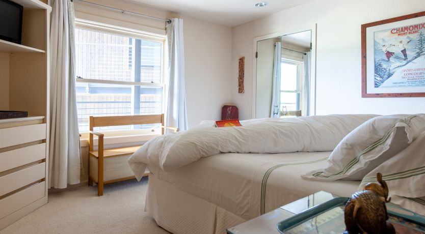 Photo of The Downy Woodpecker