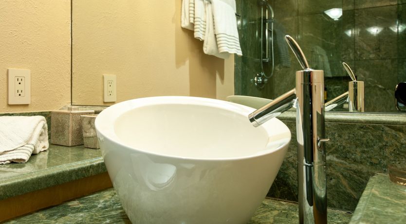 Photo of The Downy Woodpecker