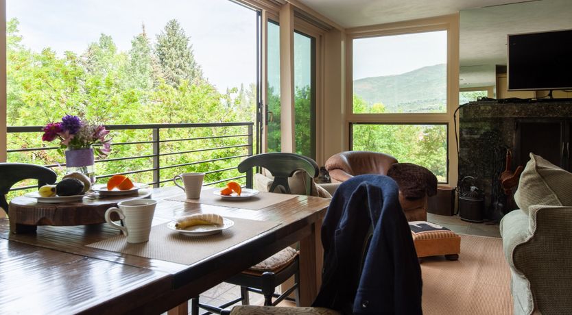 Photo of The Downy Woodpecker