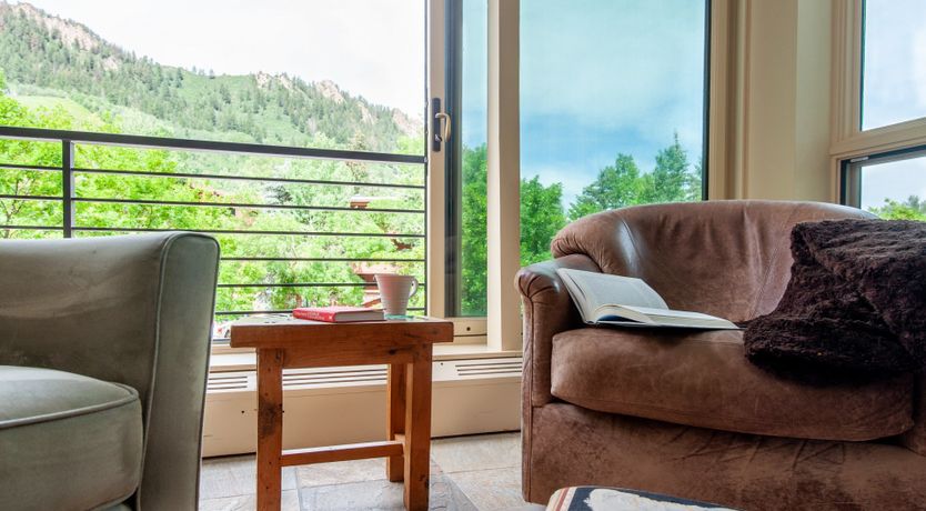 Photo of The Downy Woodpecker