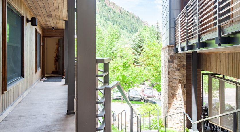 Photo of The Downy Woodpecker