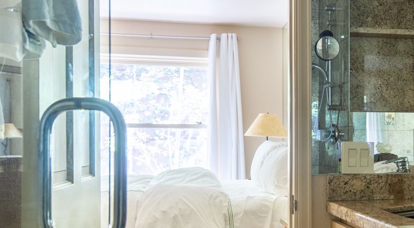 Photo of The Downy Woodpecker