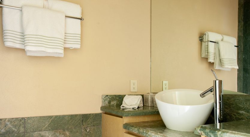 Photo of The Downy Woodpecker