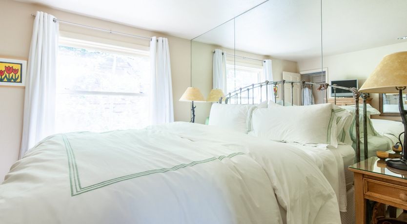 Photo of The Downy Woodpecker