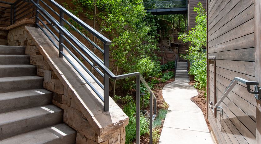 Photo of The Downy Woodpecker