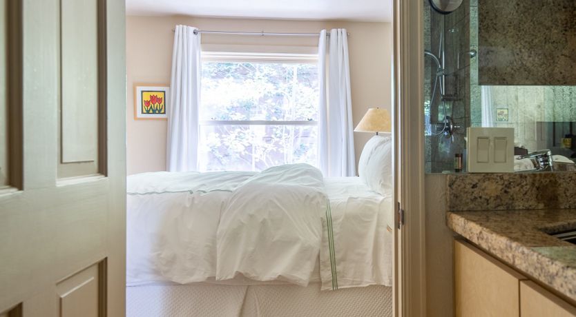 Photo of The Downy Woodpecker