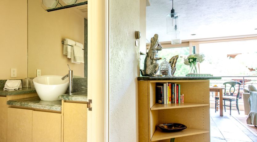 Photo of The Downy Woodpecker