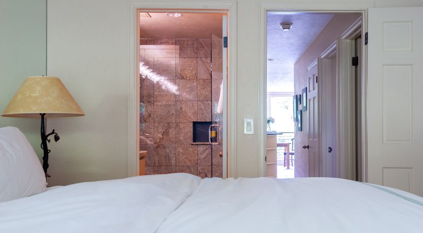 Photo of The Downy Woodpecker