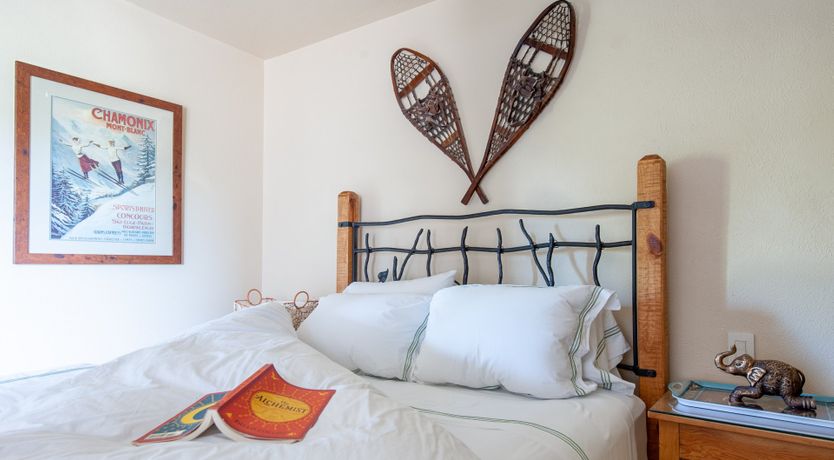 Photo of The Downy Woodpecker