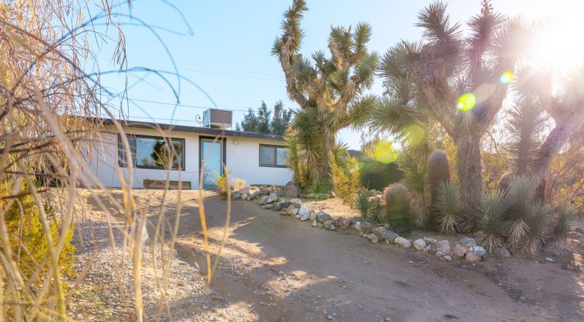 Photo of Mojave Haus