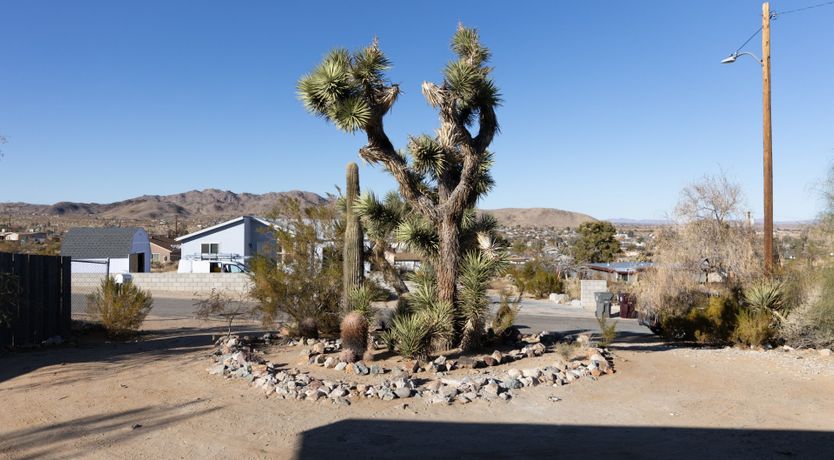 Photo of Mojave Haus