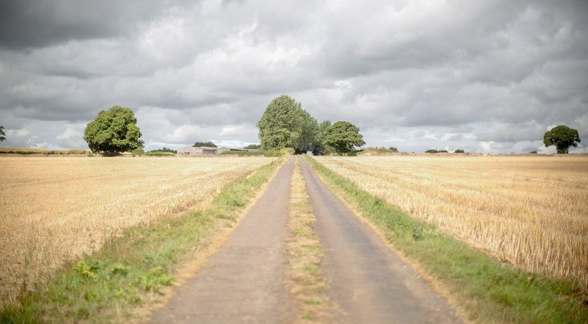 Photo of Farmyard Bells
